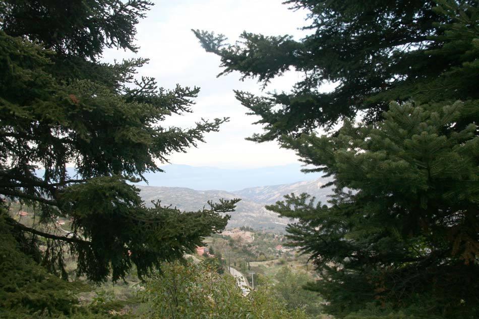 Pigi Tarlampa Hotel Trikala Exterior foto